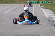 20110501_ales_agnus (2199)
